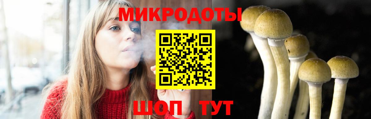 Ачхой-Мартан  Галлюциногенные грибы мицелий  Вход с VPN 
